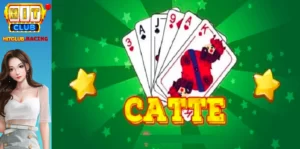 Thuật ngữ Catte HitClub